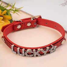 Personalized Bling Name Collar - Always Whiskered