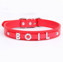Personalized Bling Name Collar - Always Whiskered