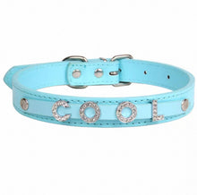 Personalized Bling Name Collar - Always Whiskered