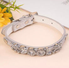 Personalized Bling Name Collar - Always Whiskered