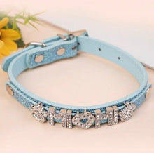 Personalized Bling Name Collar - Always Whiskered