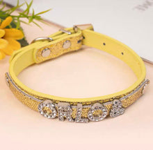 Personalized Bling Name Collar - Always Whiskered