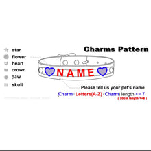 Personalized Bling Name Collar - Always Whiskered