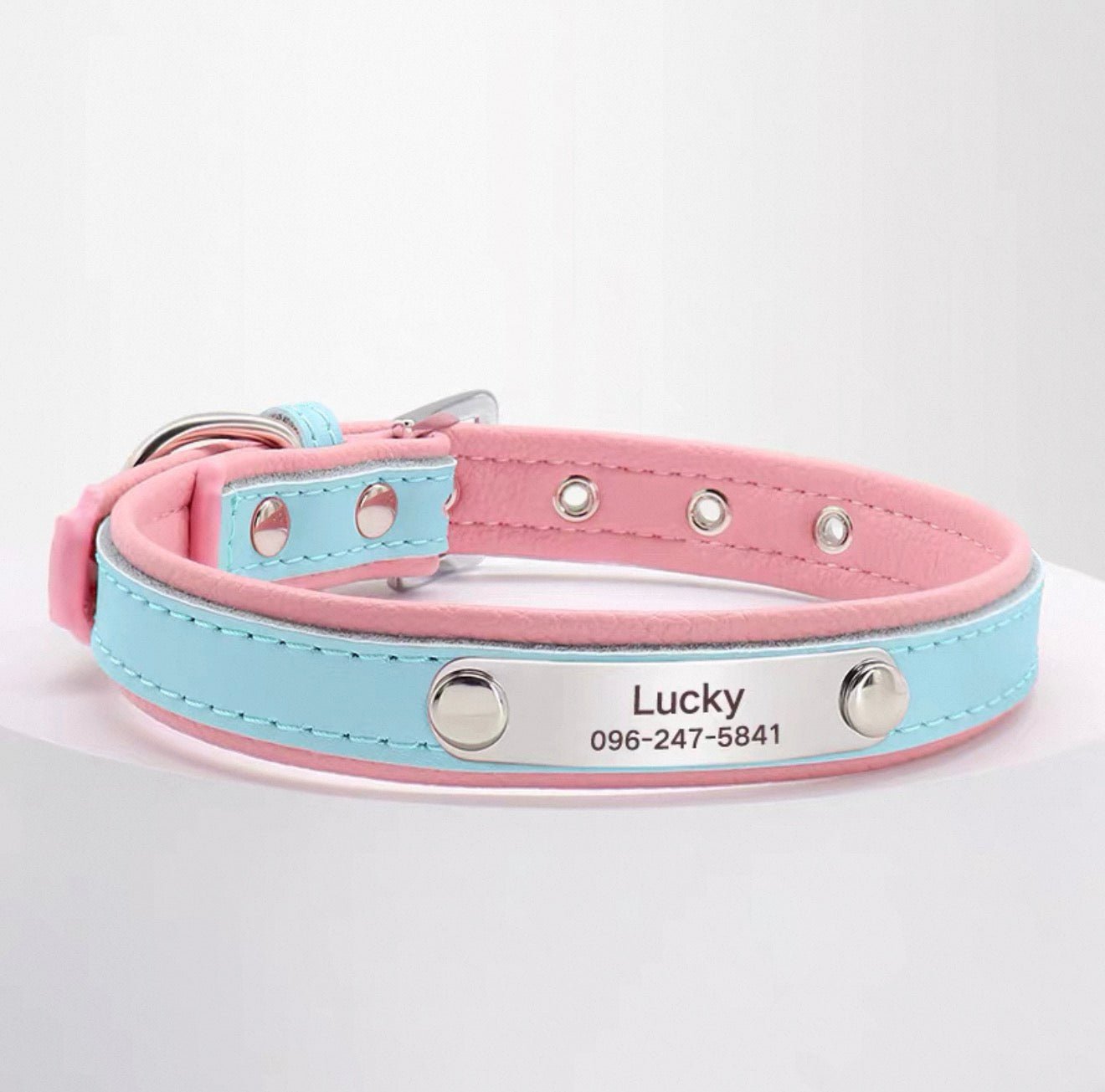 Personalized Engraved Name Collar - Always Whiskered