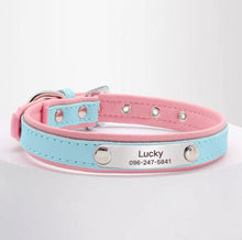 Personalized Engraved Name Collar - Always Whiskered