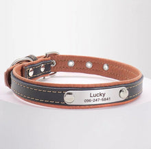 Personalized Engraved Name Collar - Always Whiskered