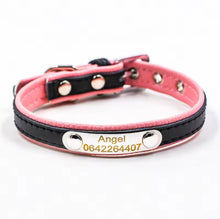 Personalized Engraved Name Collar - Always Whiskered
