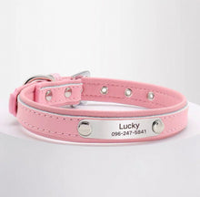 Personalized Engraved Name Collar - Always Whiskered