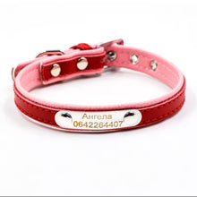 Personalized Engraved Name Collar - Always Whiskered