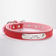 Personalized Engraved Name Collar - Always Whiskered