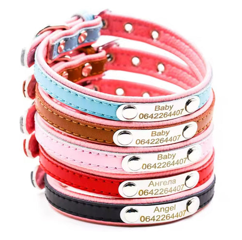 Personalized Engraved Name Collar - Always Whiskered