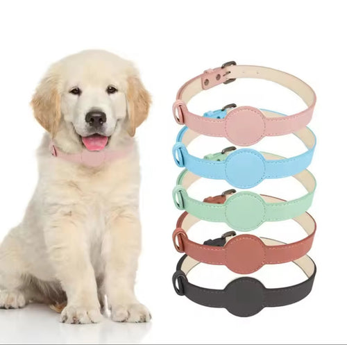 Pet Collar for AirTag - Always Whiskered