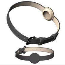 Pet Collar for AirTag - Always Whiskered