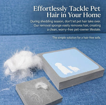 Pet Fur Eraser - Always Whiskered