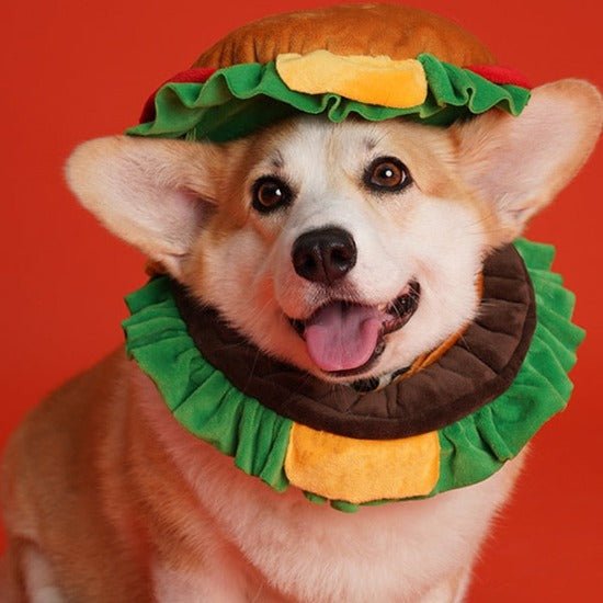 Pet Hamburger Hat - Always Whiskered