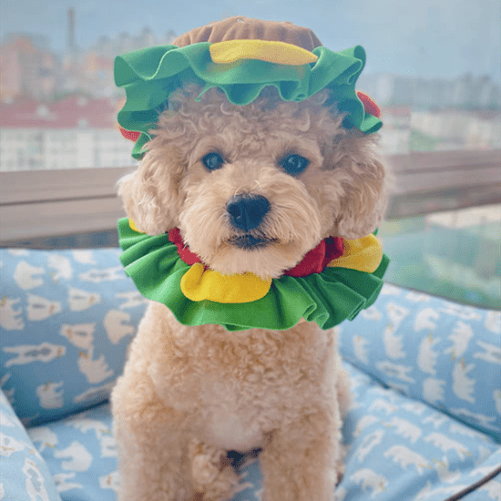 Pet Hamburger Hat - Always Whiskered