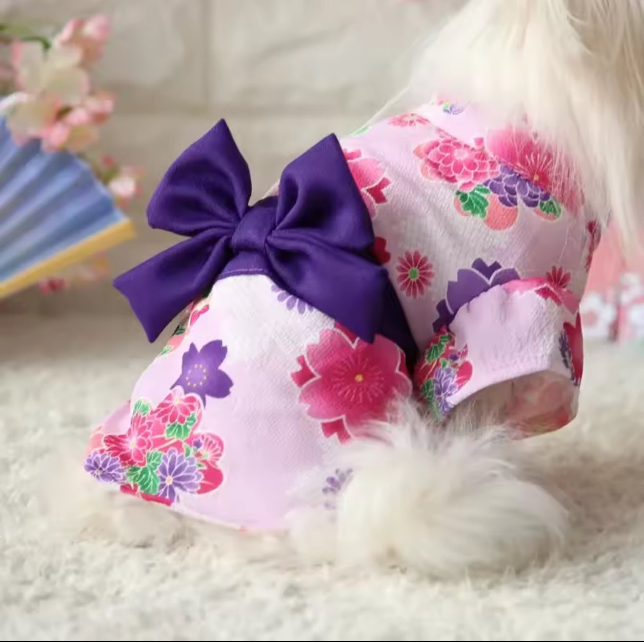 Pet Kimono - Always Whiskered