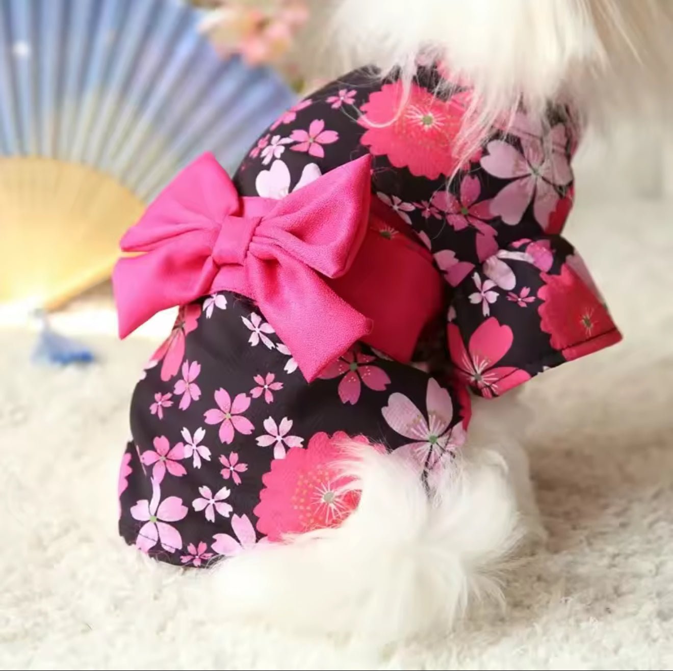 Pet Kimono - Always Whiskered
