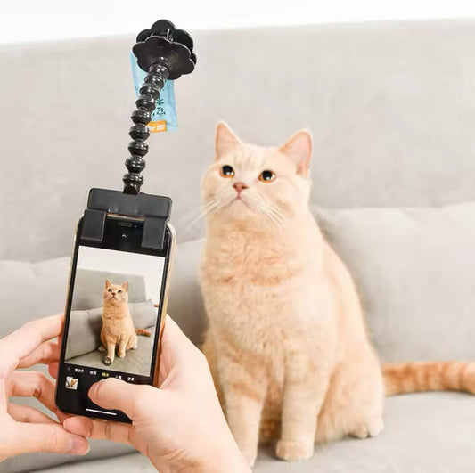 Pet Selfie Stick - Always Whiskered
