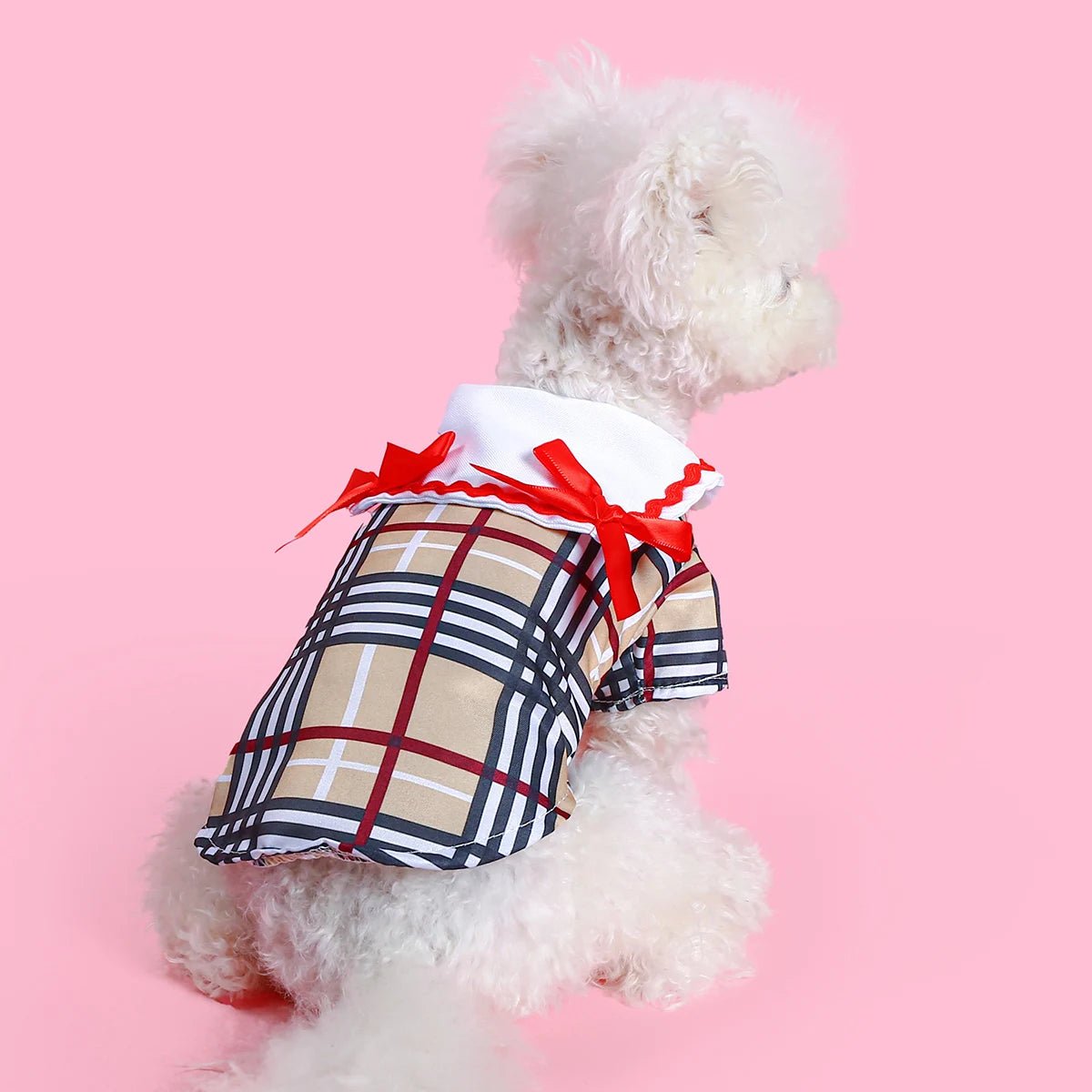 Petberry Shirt - Always Whiskered