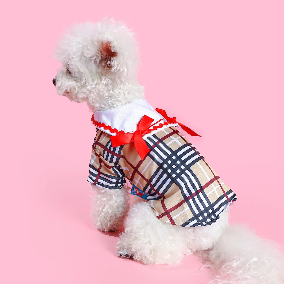 Petberry Shirt - Always Whiskered