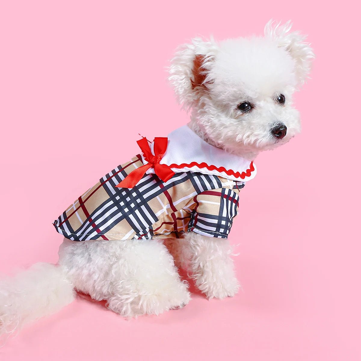 Petberry Shirt - Always Whiskered