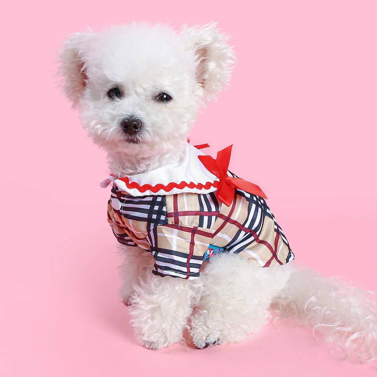 Petberry Shirt - Always Whiskered