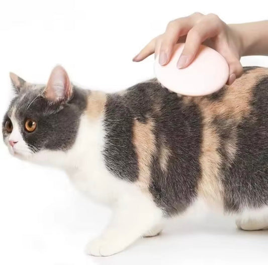 Petkit Massage Comb - Always Whiskered
