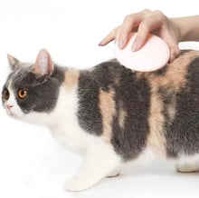 Petkit Massage Comb - Always Whiskered