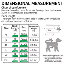 Pika Pika Costume - Always Whiskered