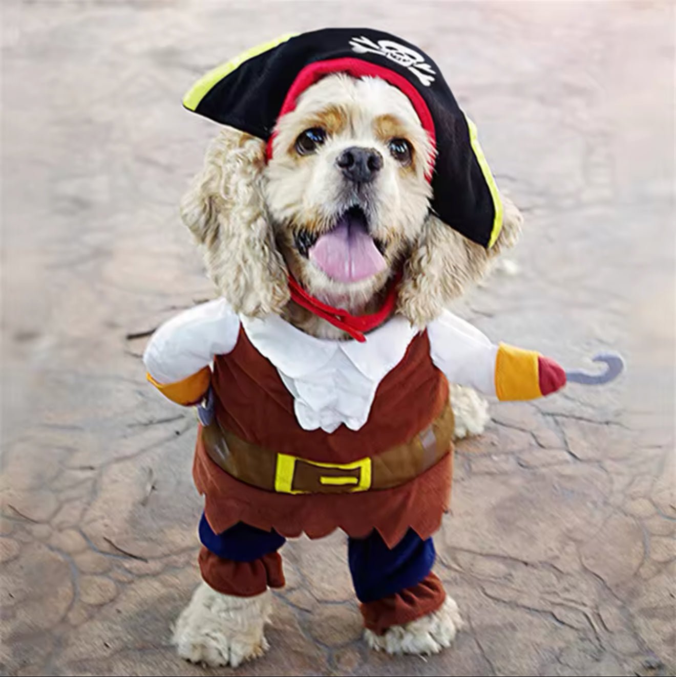 Pirate Pet Costume - Always Whiskered