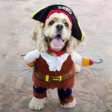 Pirate Pet Costume - Always Whiskered