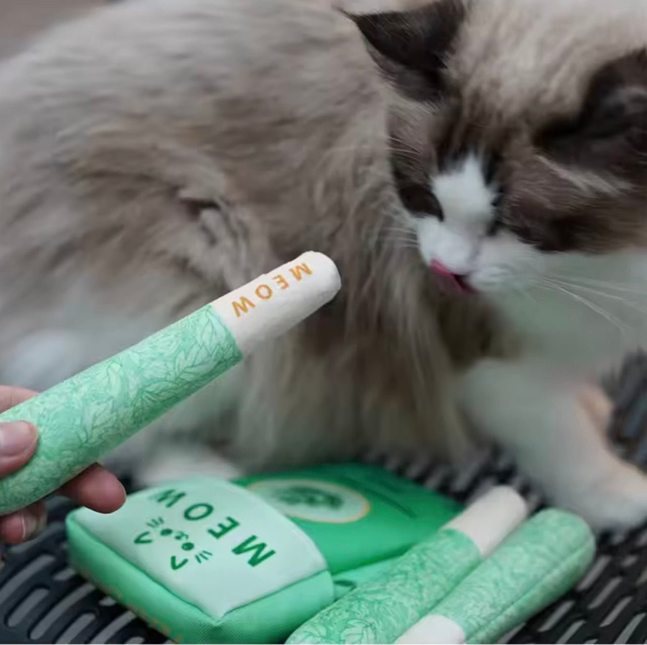 Plush Ciggie Pack Toy - Always Whiskered