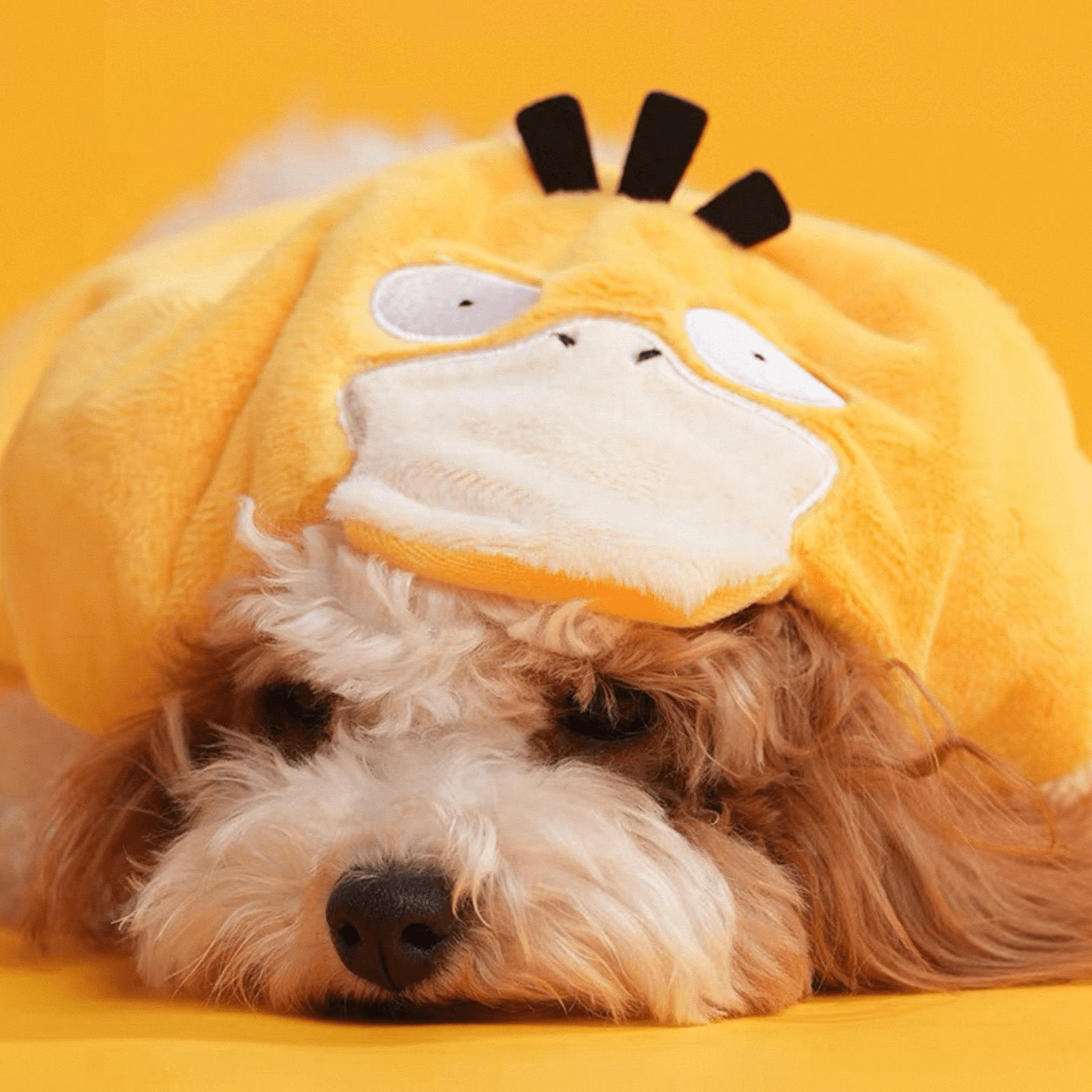 Poké Pet Costume - Always Whiskered
