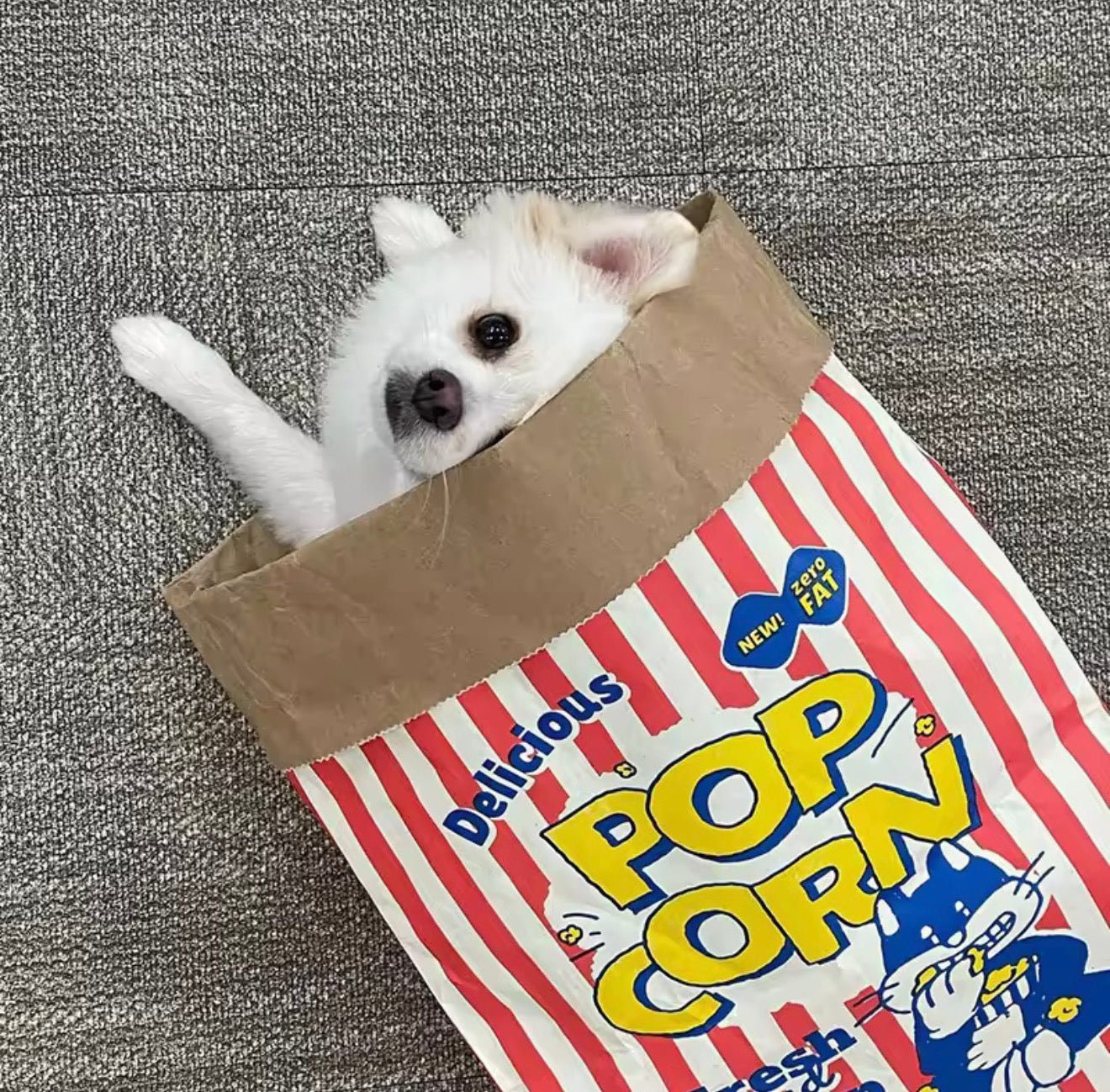 Pop Pop Popcorn Sack - Always Whiskered