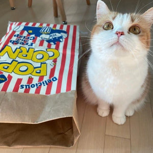 Pop Pop Popcorn Sack - Always Whiskered