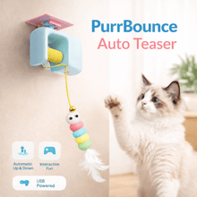Purrbounce YoYo Toy - Always Whiskered