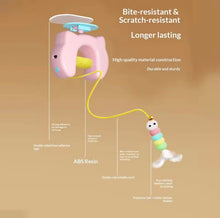 Purrbounce YoYo Toy - Always Whiskered