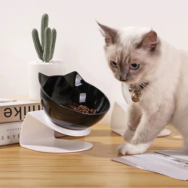 Purrfect Kitty Elevated Bowls - Always Whiskered