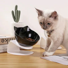 Purrfect Kitty Elevated Bowls - Always Whiskered