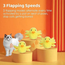 Quackity Duck Motion Toy - Always Whiskered