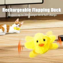 Quackity Duck Motion Toy - Always Whiskered