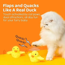 Quackity Duck Motion Toy - Always Whiskered