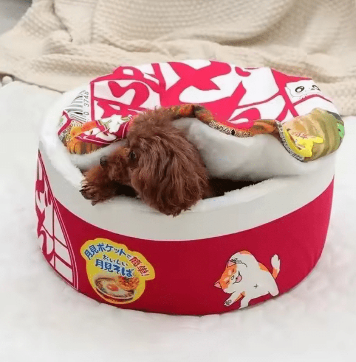 Ramen Bowl Bed - Always Whiskered