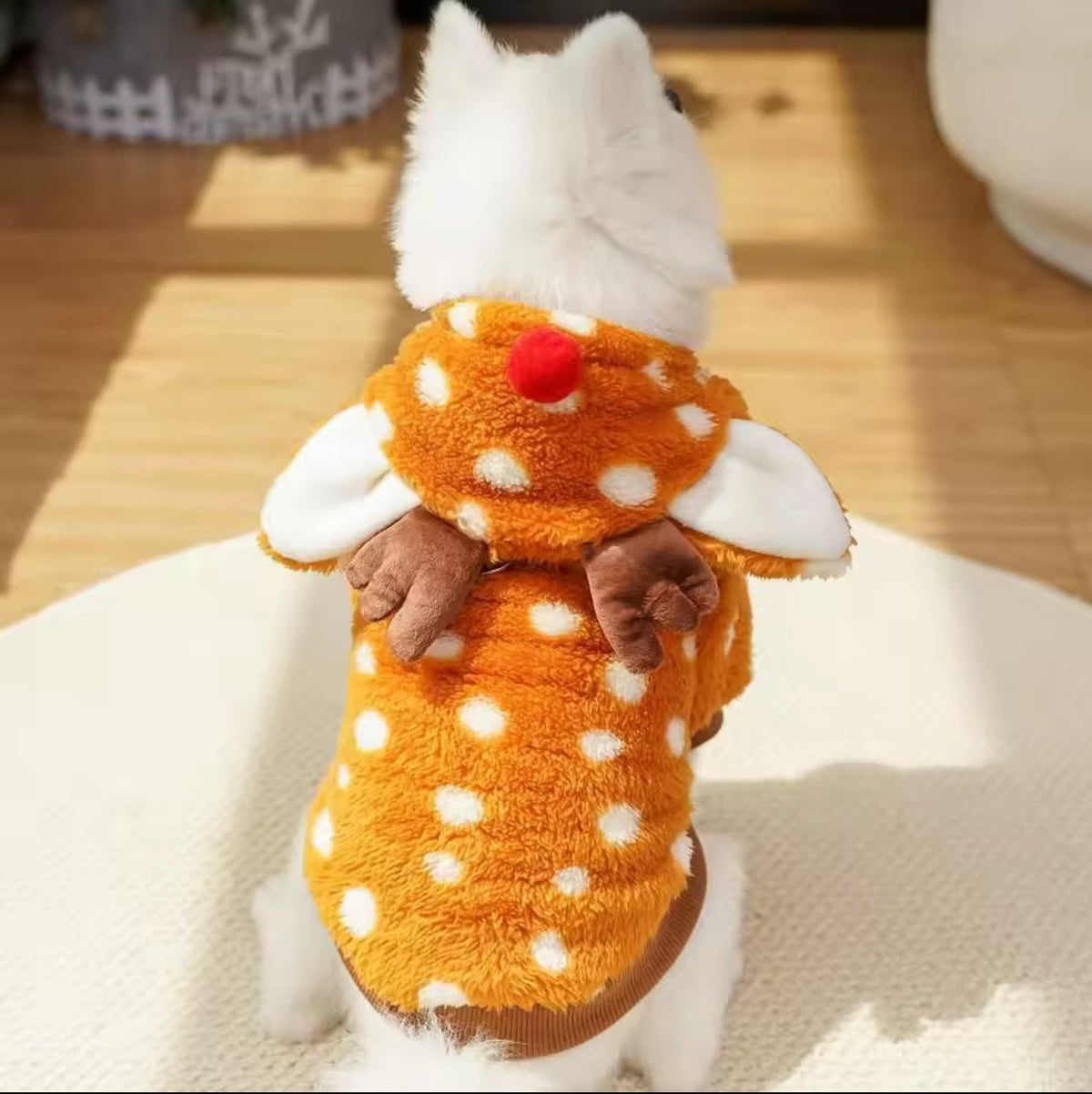 Reindeer Pet Costume - Always Whiskered