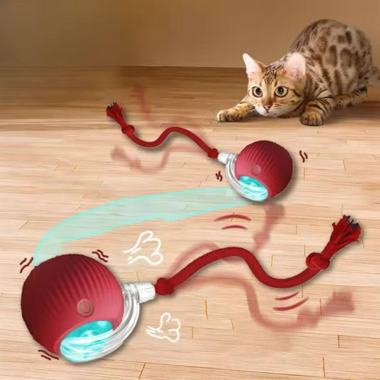 Roly Poly Interactive Cat Ball Toy - Always Whiskered