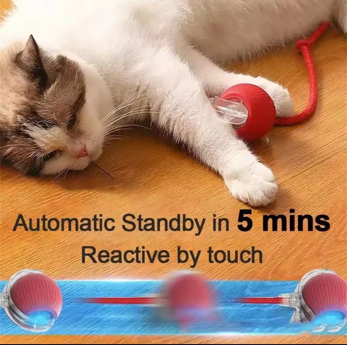 Roly Poly Interactive Cat Ball Toy - Always Whiskered