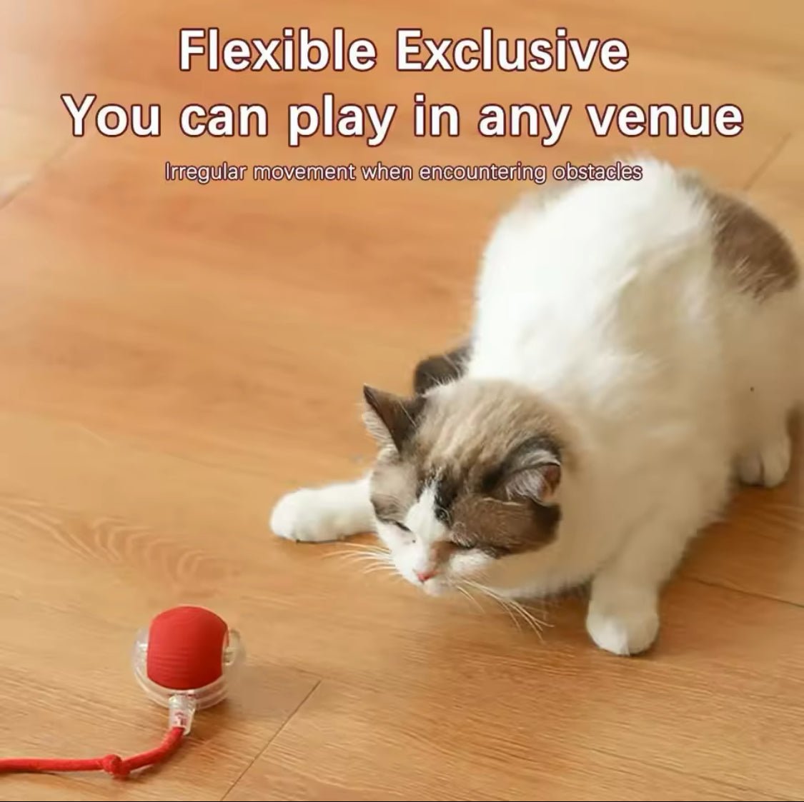 Roly Poly Interactive Cat Ball Toy - Always Whiskered