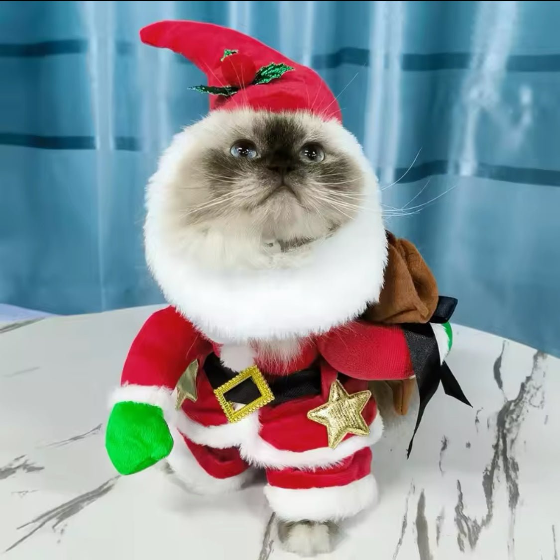 Santa Costume - Always Whiskered