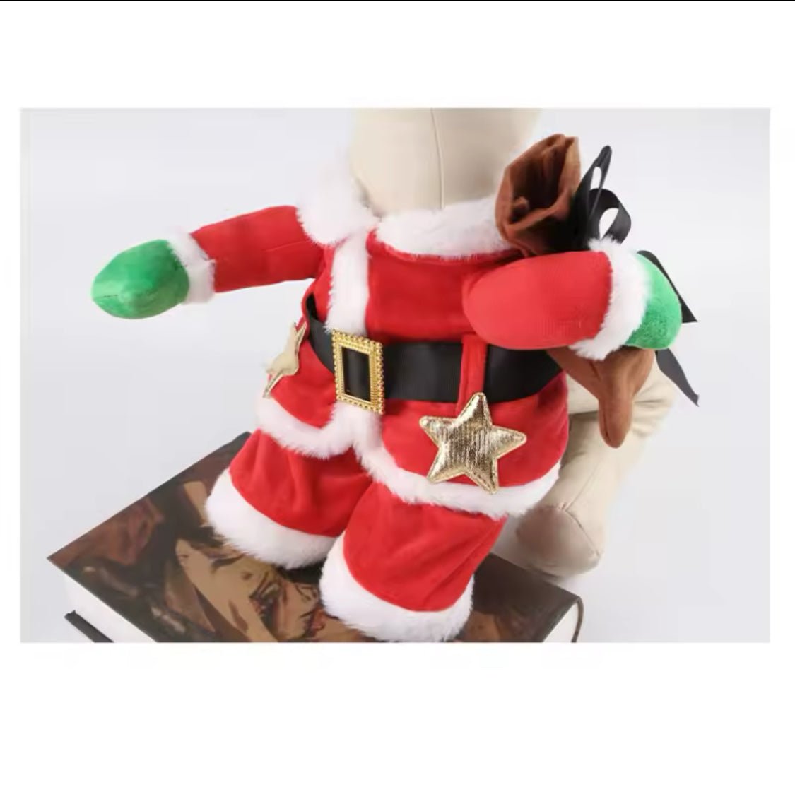 Santa Costume - Always Whiskered